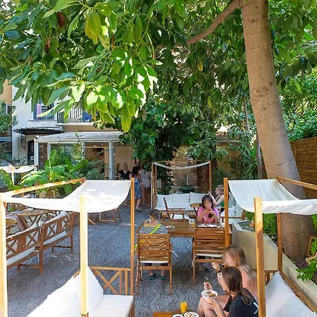 Hi Les Camélias Nice