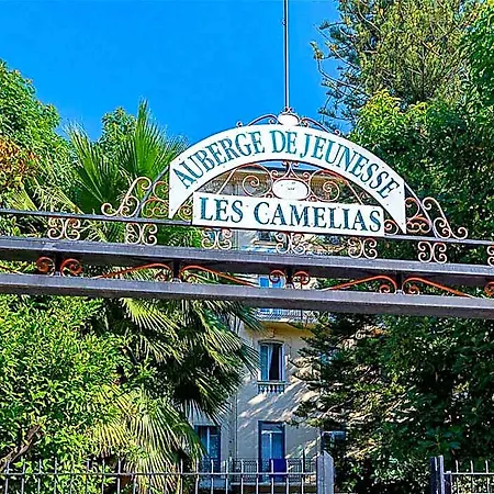 Hi Les Camelias