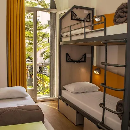 Hi Les Camélias
