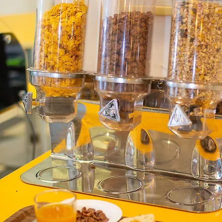 Hi Les Camelias Nice